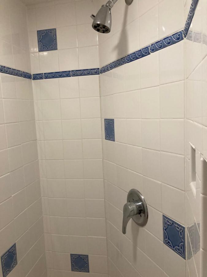 Pineapple House, Spacious 1St Floor Apartment! City Center! 96 Walk Score! Free Parking! Denver Exterior photo